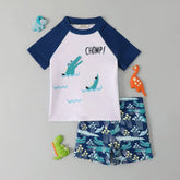 Boys Blue Graphics Short Sleeves T-Shirt & Shorts Swimsuit Sets