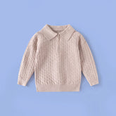 Boys Beige Long Sleeve Textured Polo Sweater