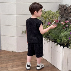 Boys Black Dinosaur Graphic T-Shirt With Shorts Sets
