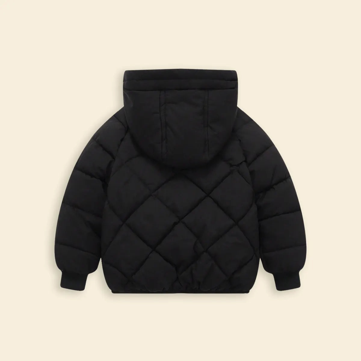 Boys Black Hooded Zip-up Puffer Jacket With Long Sleeves