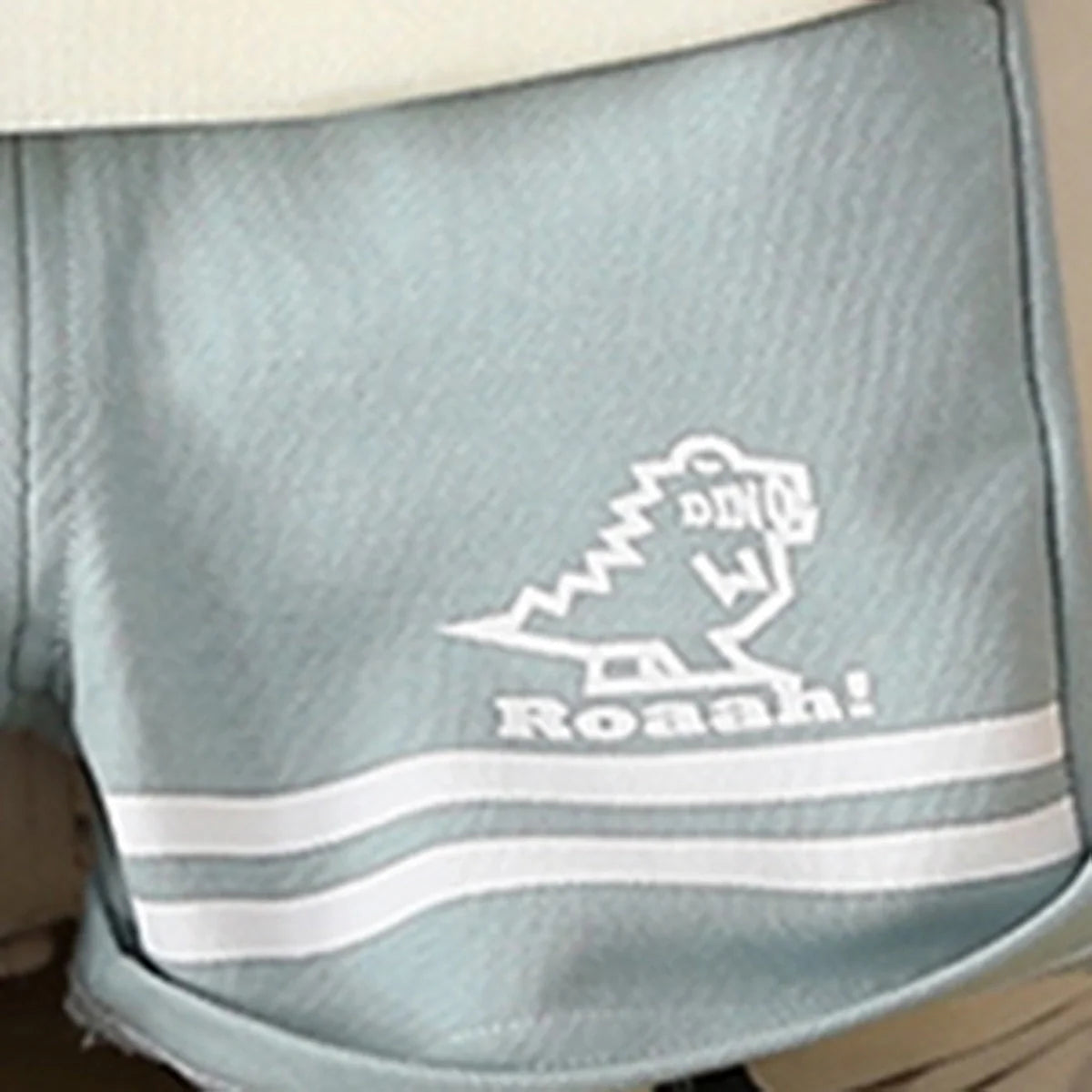 Boys Blue Dinosaur Printed Polo T-Shirt With Shorts Set