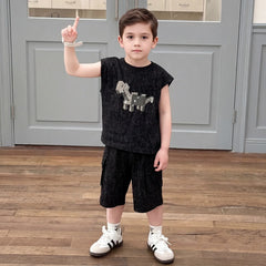 Boys Black Dinosaur Graphic T-Shirt With Shorts Sets