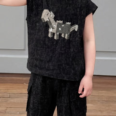 Boys Black Dinosaur Graphic T-Shirt With Shorts Sets