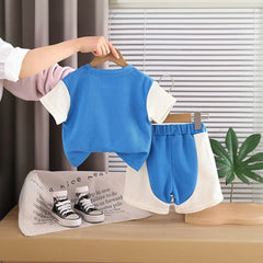 Boys Blue Horse Cartoon Print T-Shirt & Shorts Co-ord Sets