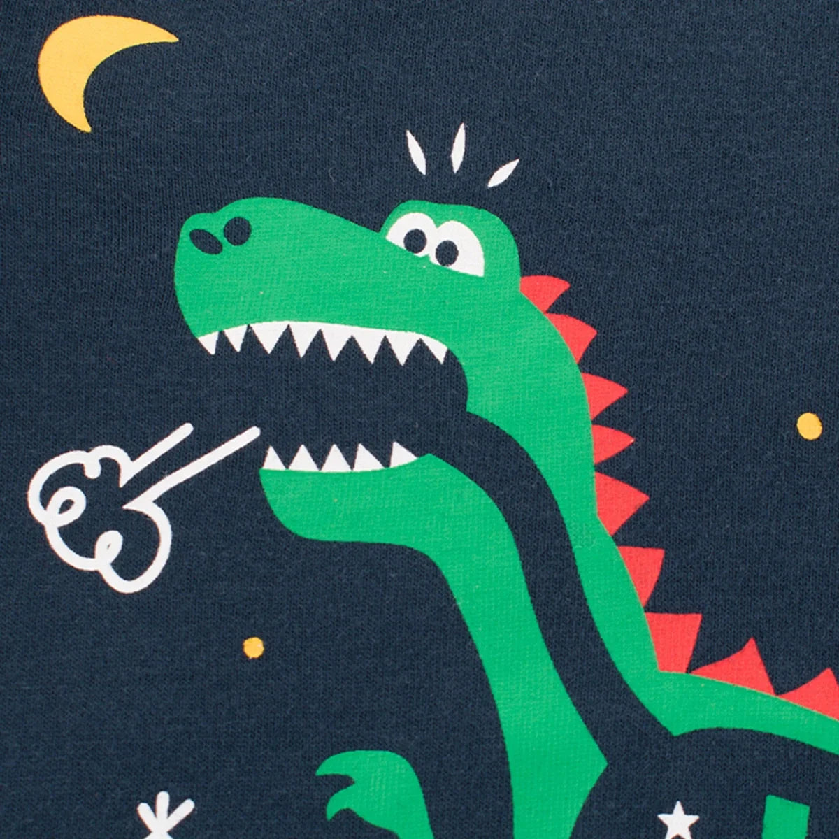 Boys Blue Dinosaur Printed Long Sleeves T-Shirt