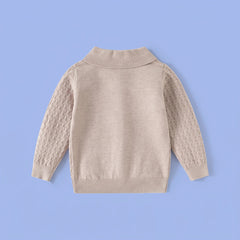 Boys Beige Long Sleeve Textured Polo Sweater