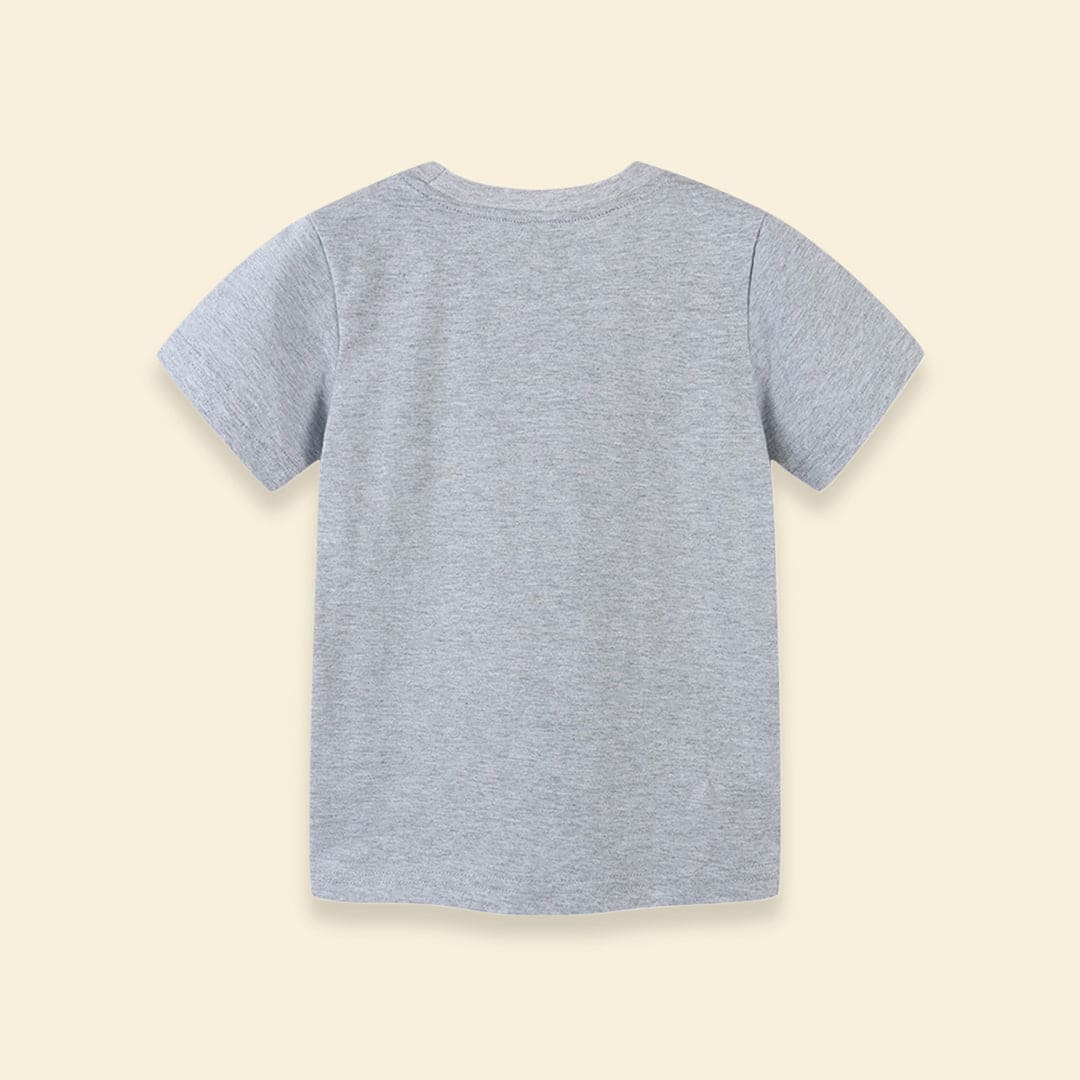 Boys Air Craft Print T-shirt