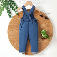Boys Blue Dinosaur Print Dungaree