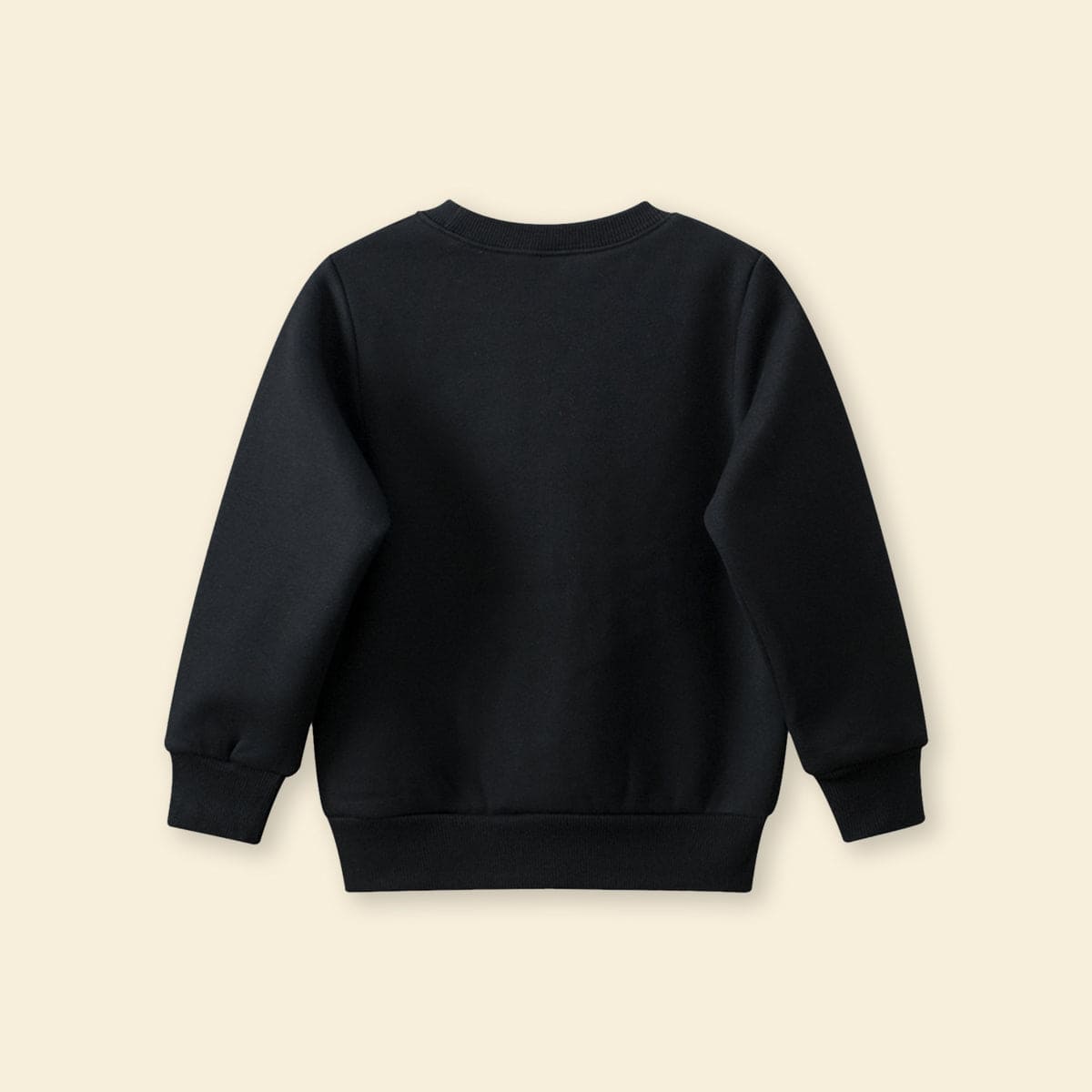 Boys Black Dinosaur Graphic Long Sleeves Sweatshirt