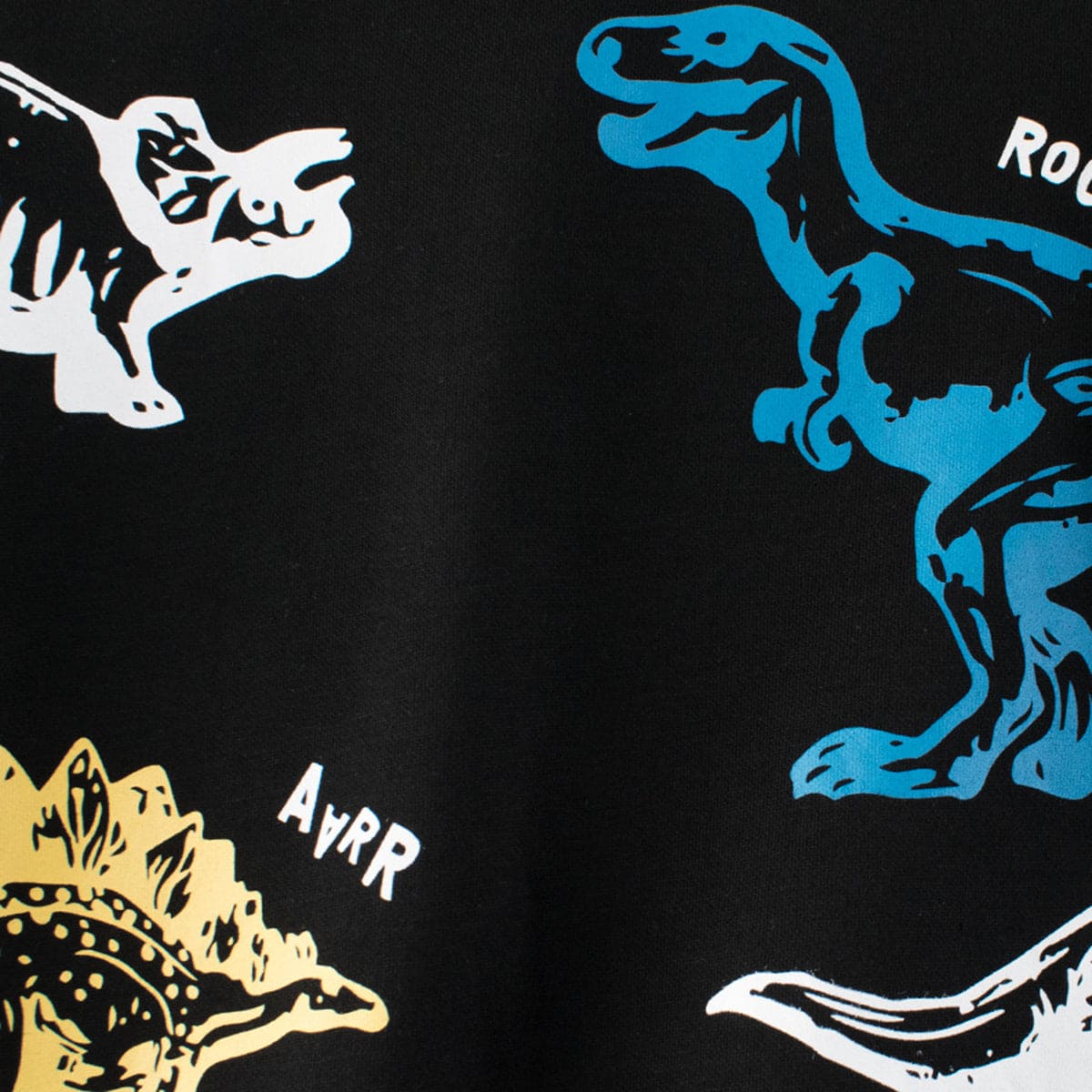 Boys Black Dinosaur Graphic Long Sleeves Sweatshirt