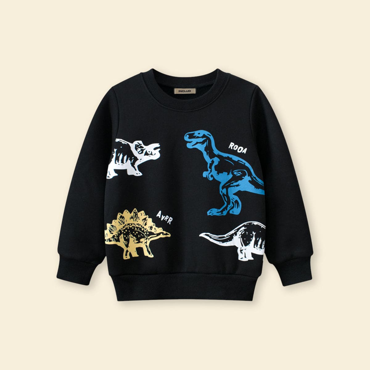Boys Black Dinosaur Graphic Long Sleeves Sweatshirt