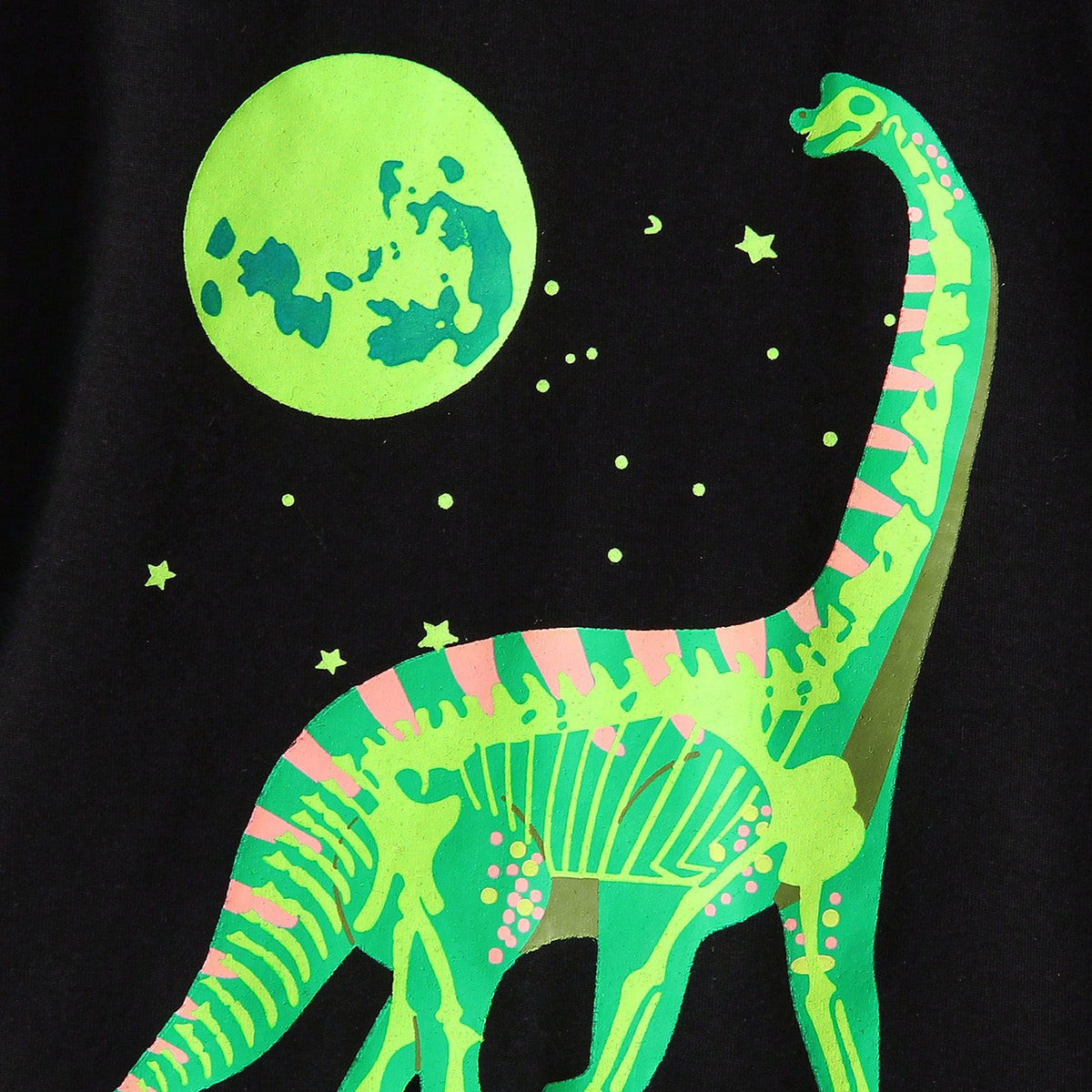 Boys Black Dinosaur Graphic Short Sleeves Round Neck T-Shirt