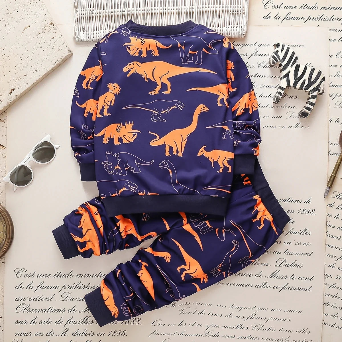 Boys Blue Dinosaur Printed Sweatshirt & Joggers Co-ord Sets