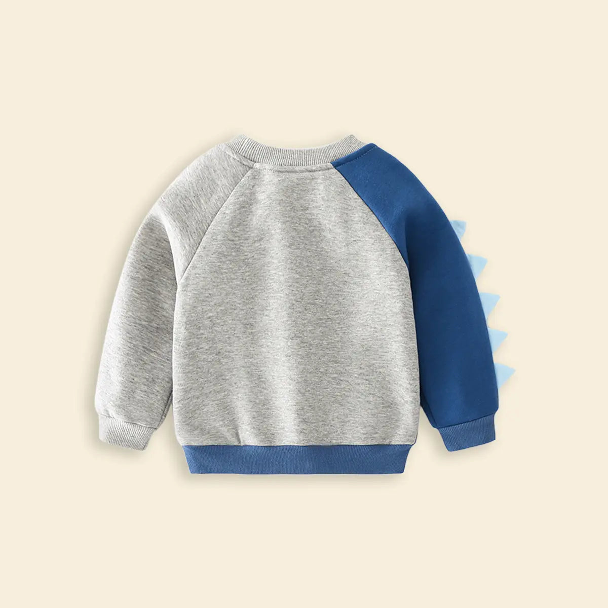 Boys Blue Dinosaur Colorblocked Sweatshirt