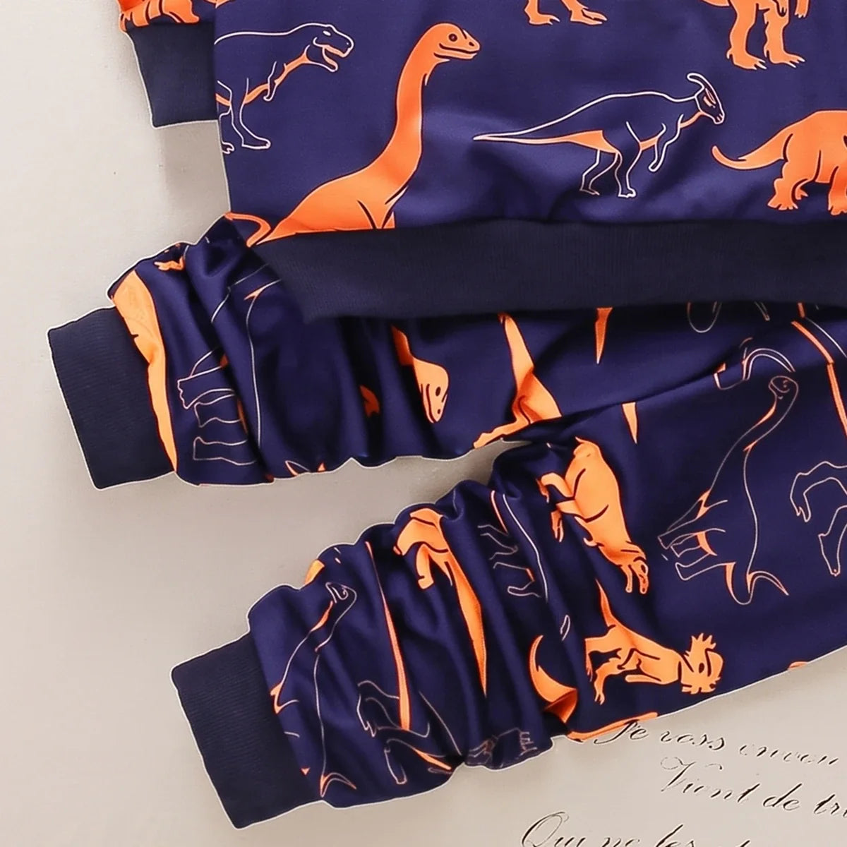 Boys Blue Dinosaur Printed Sweatshirt & Joggers Co-ord Sets